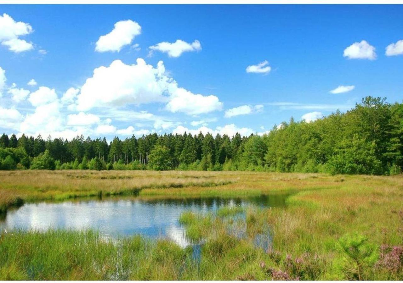 Comfortabel Chalet In Nationaal Park Wateren ภายนอก รูปภาพ